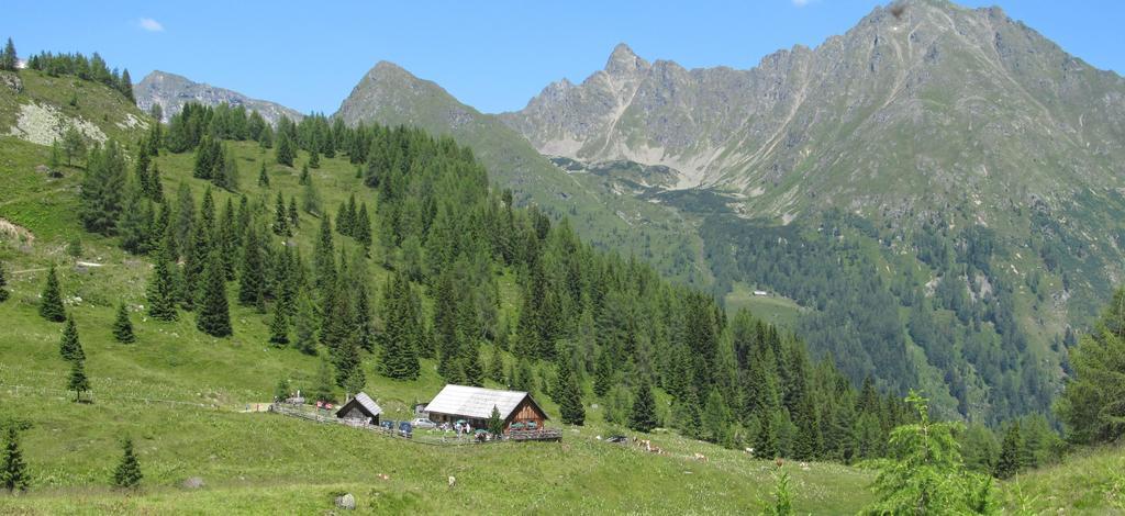Biobauernhof Tonimoertl Villa Mariapfarr Exterior photo